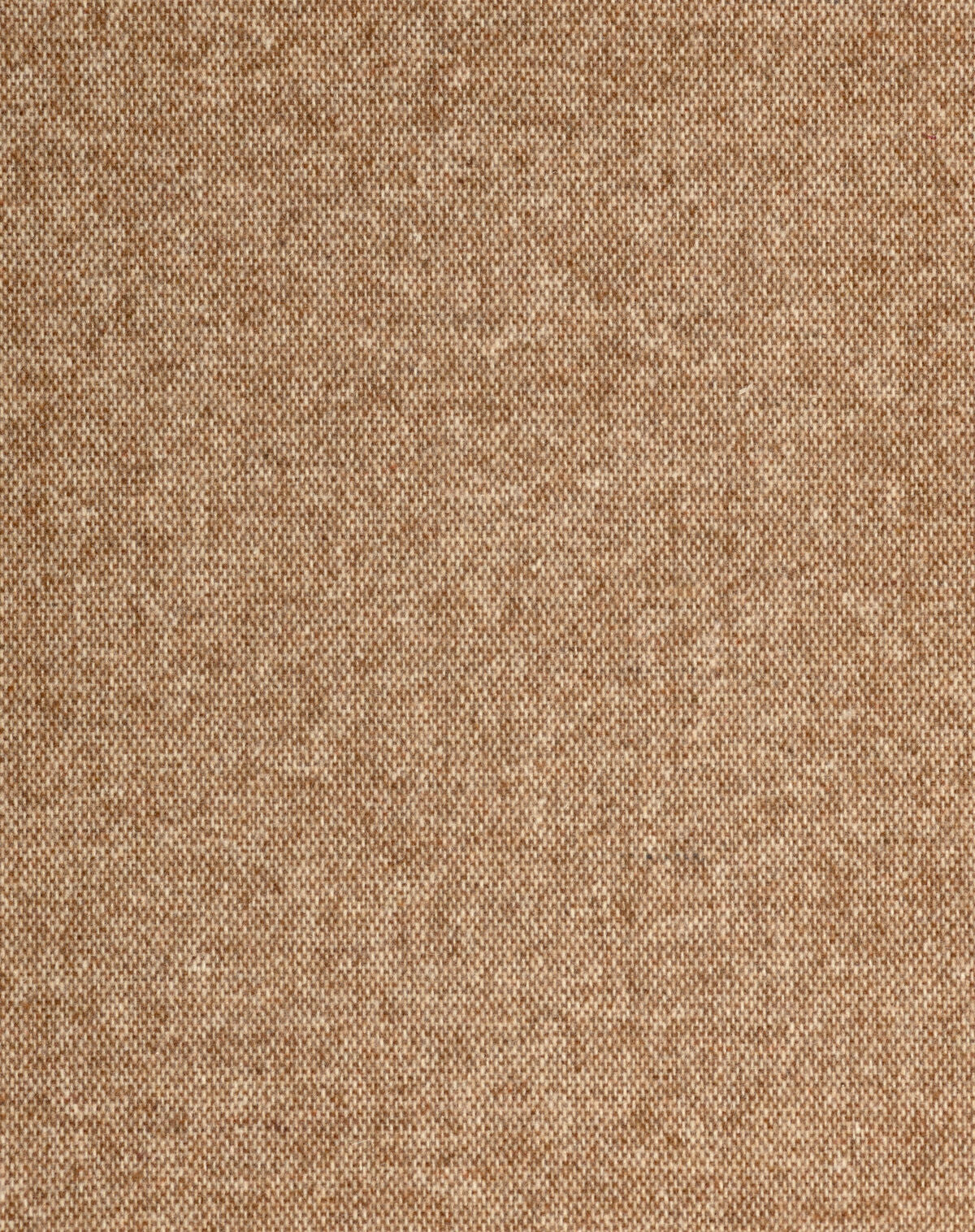 Comodo - Cinnamon - Winfield Thybony Wallpaper