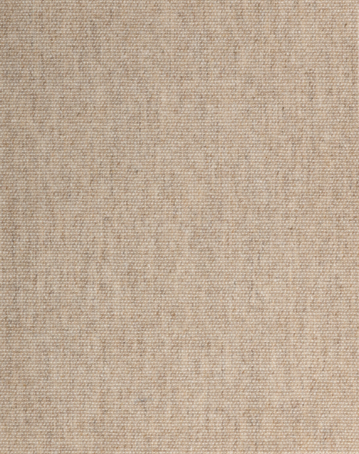 Comodo - Driftwood - Winfield Thybony Wallpaper