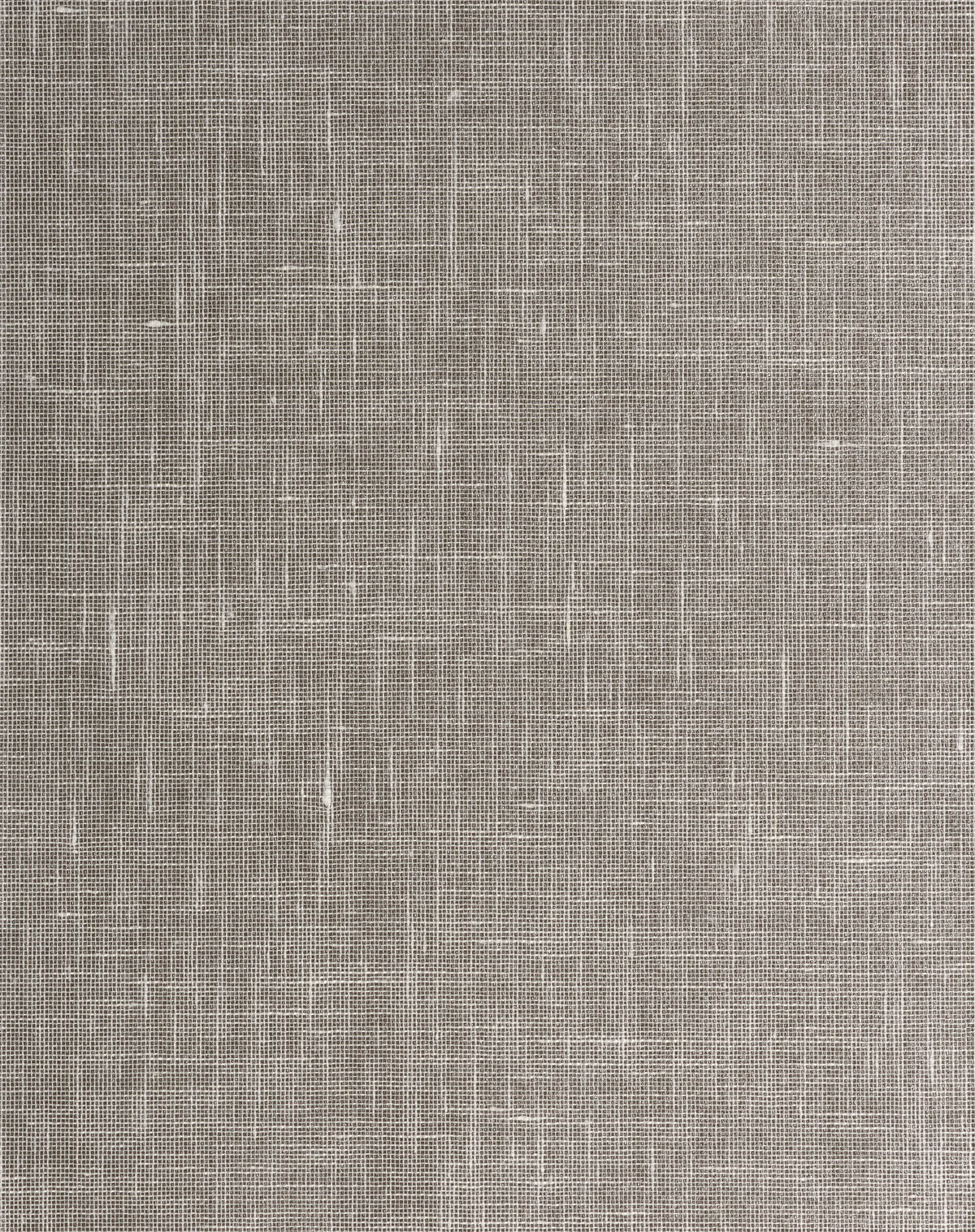 Lido - Latte - Winfield Thybony Wallpaper