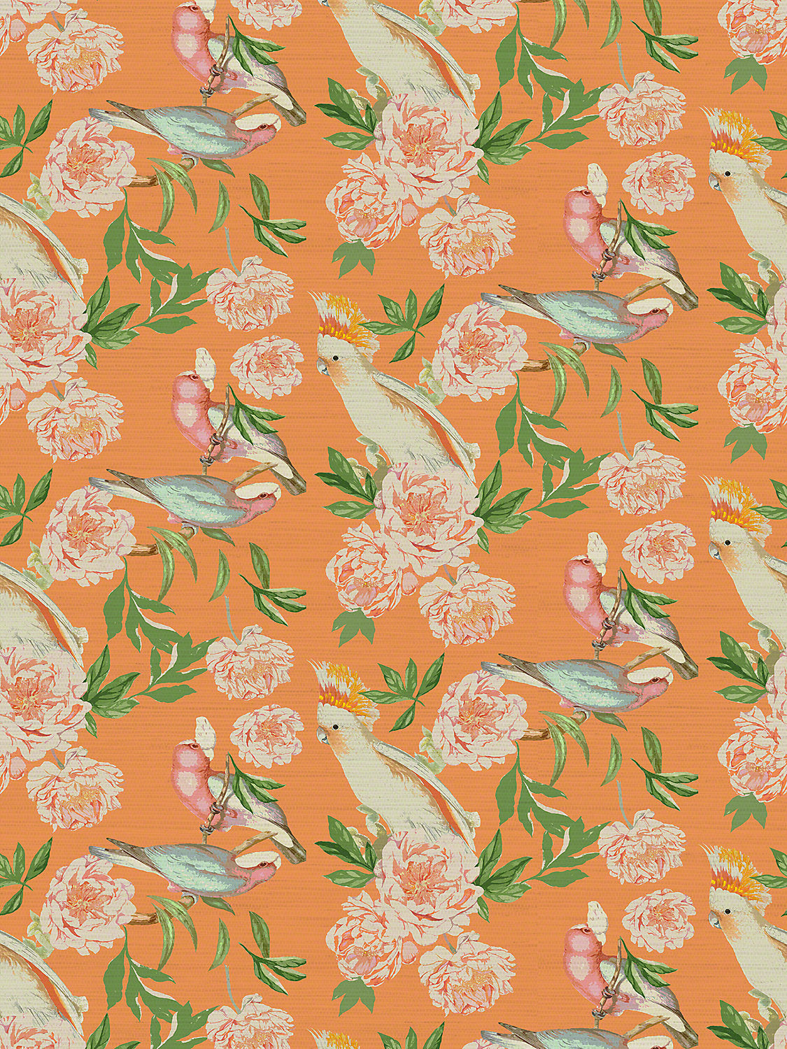 Peony Inspira - Bellini