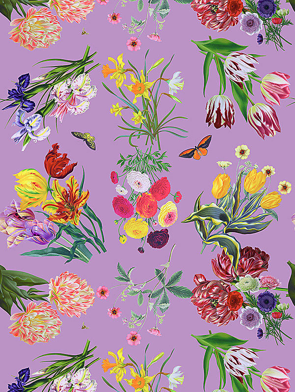 Flora & Fauna - Orchid - Scalamandre Wallpaper
