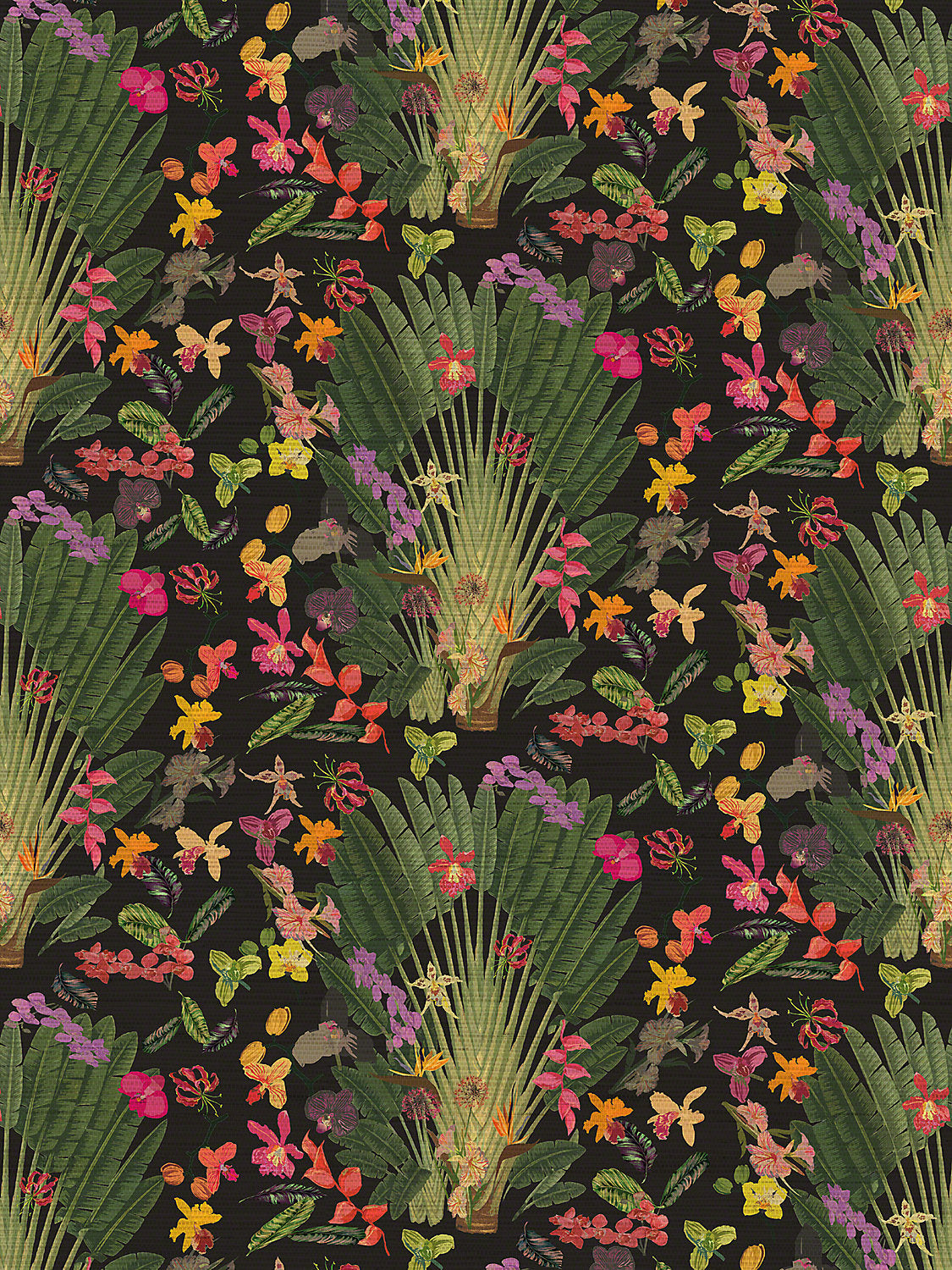 Fantasy Tropical - Black - Scalamandre Wallpaper