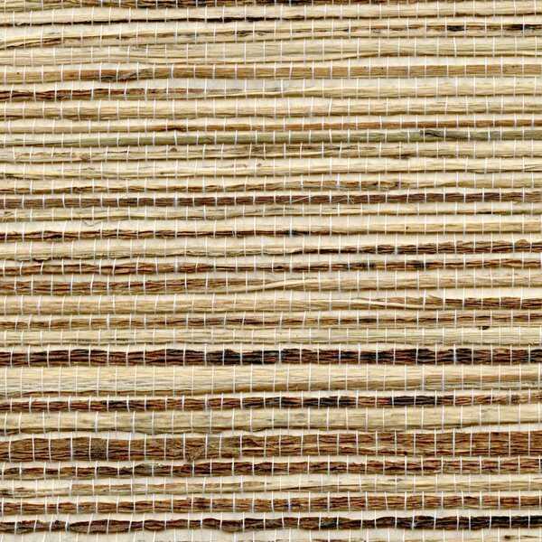 Petite Bengali - - WINFIELD THYBONY Wallpaper