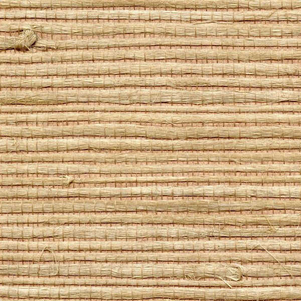 Bengali - - WINFIELD THYBONY Wallpaper