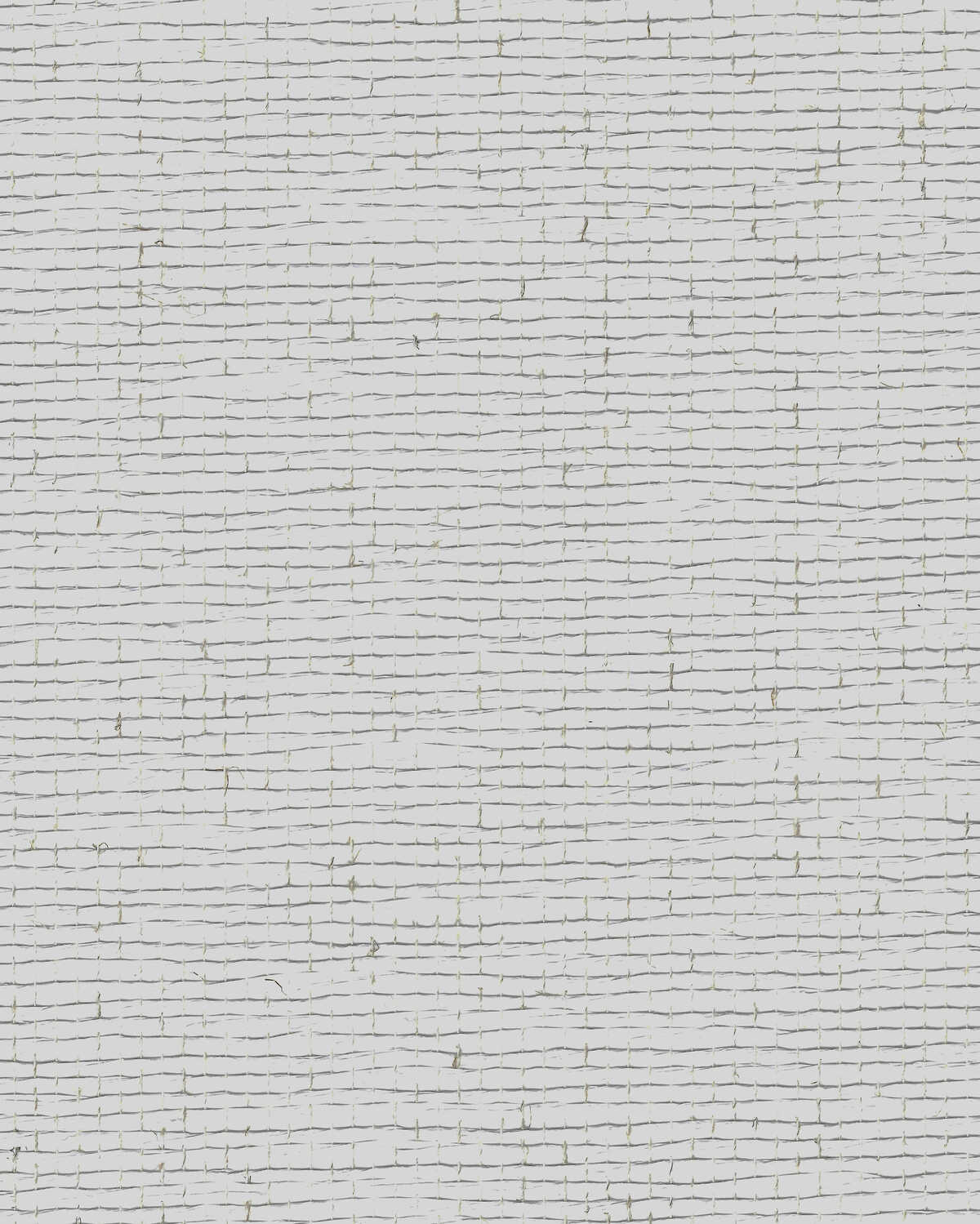 Napa Weave - Cotton - WINFIELD THYBONY Papel pintado