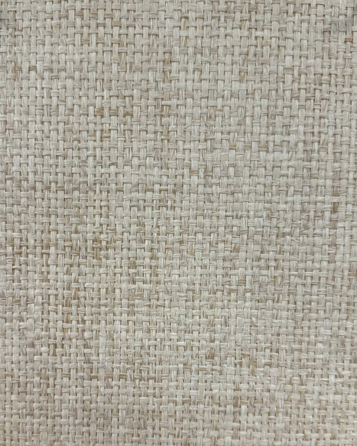 Noshi Weave - Cafe Late - WINFIELD THYBONY Papel pintado