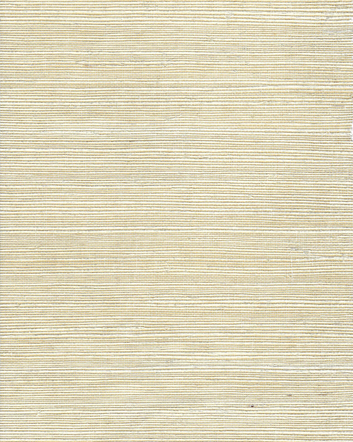 Chiyo Sisal - Beige - WINFIELD THYBONY Papel pintado