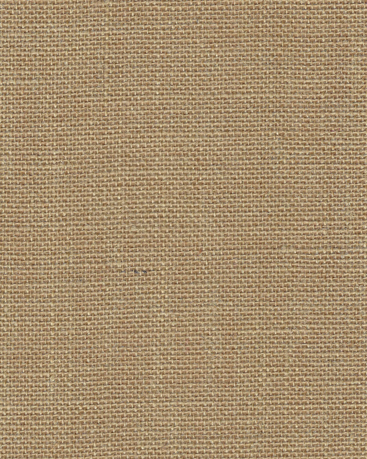 Juniper Burlap - Java - WINFIELD THYBONY Papel pintado