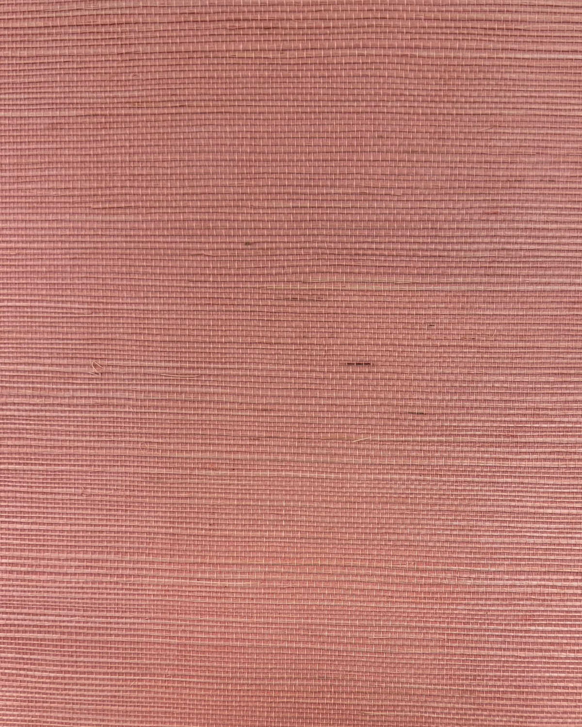 Chiyo Sisal - Petal Pink - WINFIELD THYBONY Papel pintado