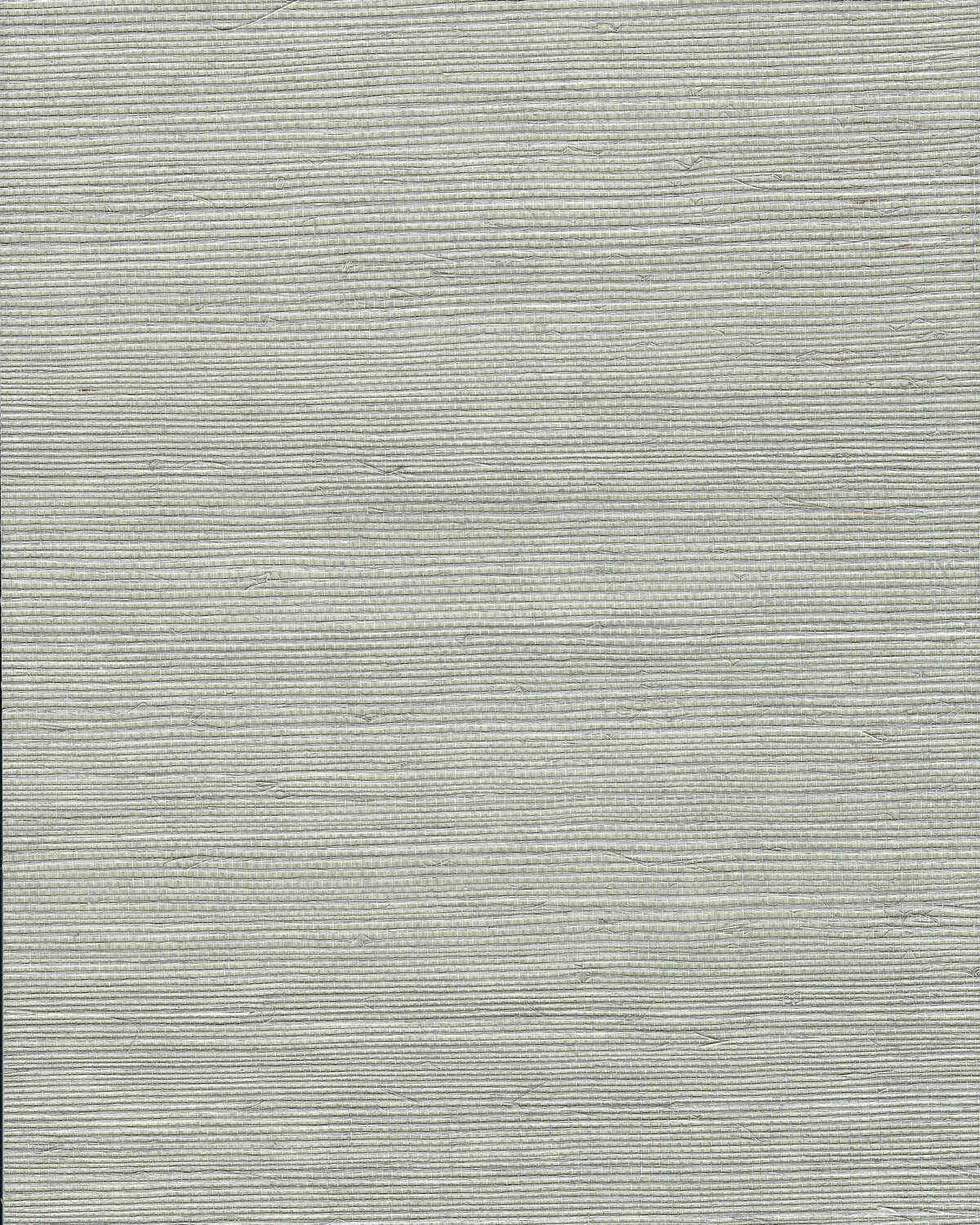 Chiyo Sisal - Greige - WINFIELD THYBONY Papel pintado