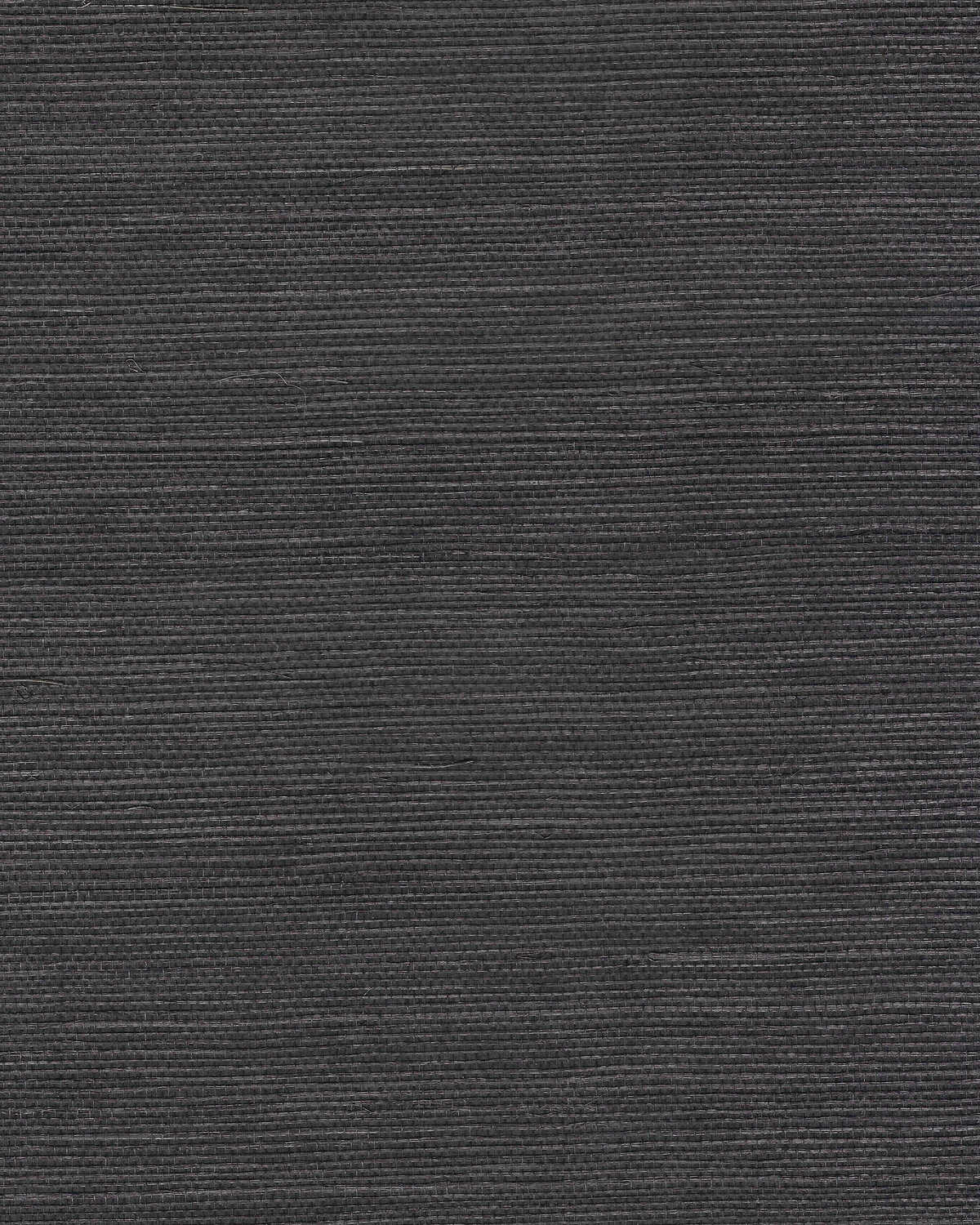 Chiyo Sisal - Black - WINFIELD THYBONY Papel pintado