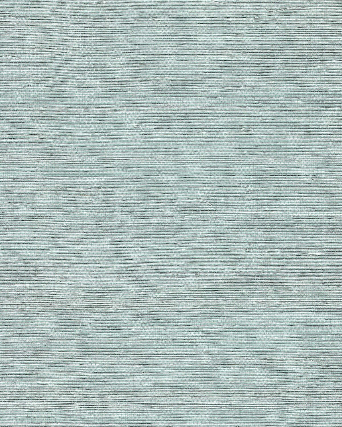 Chiyo Sisal - Powder - WINFIELD THYBONY Papel pintado