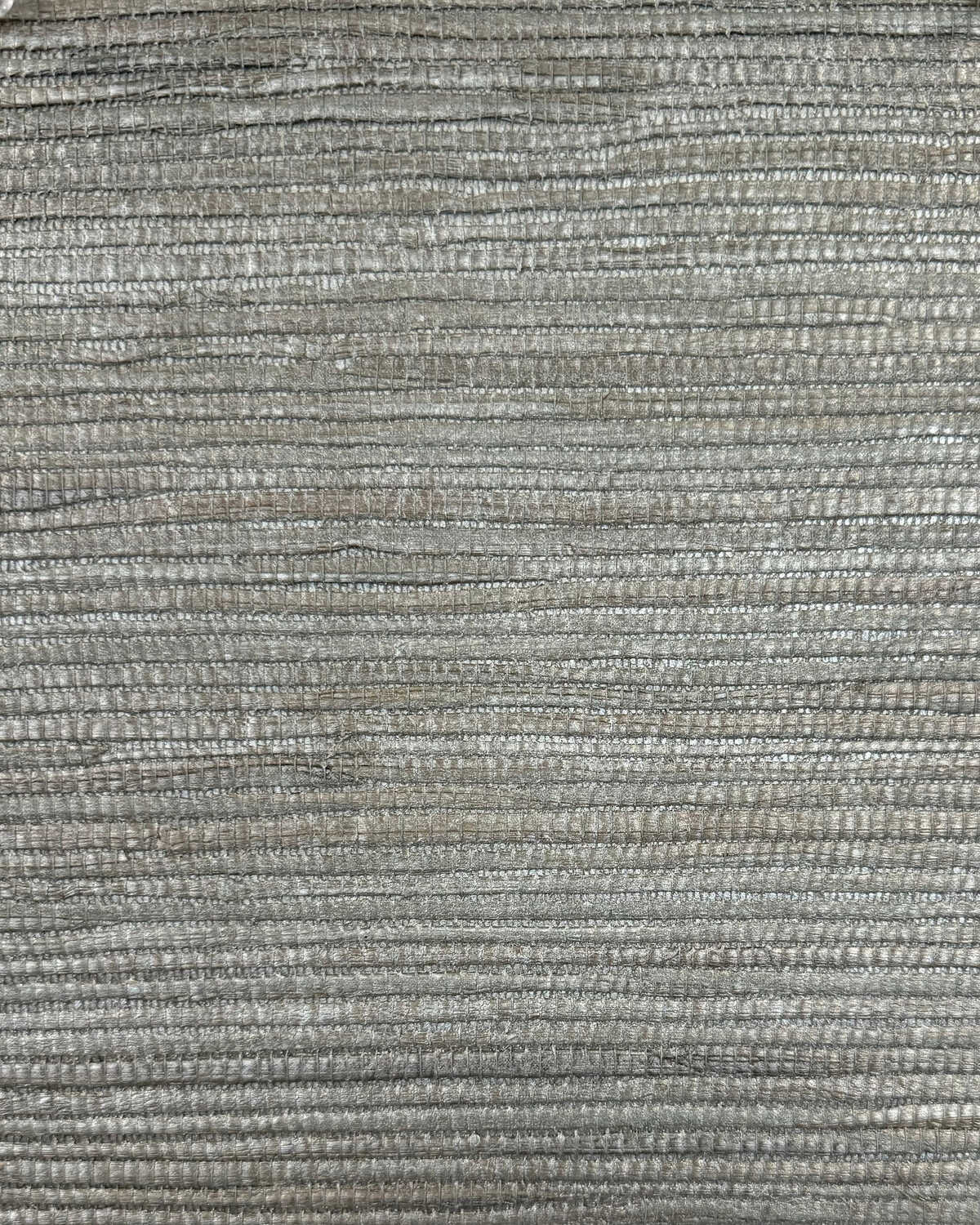 Gilded Fusae - Ivy - WINFIELD THYBONY Papel pintado