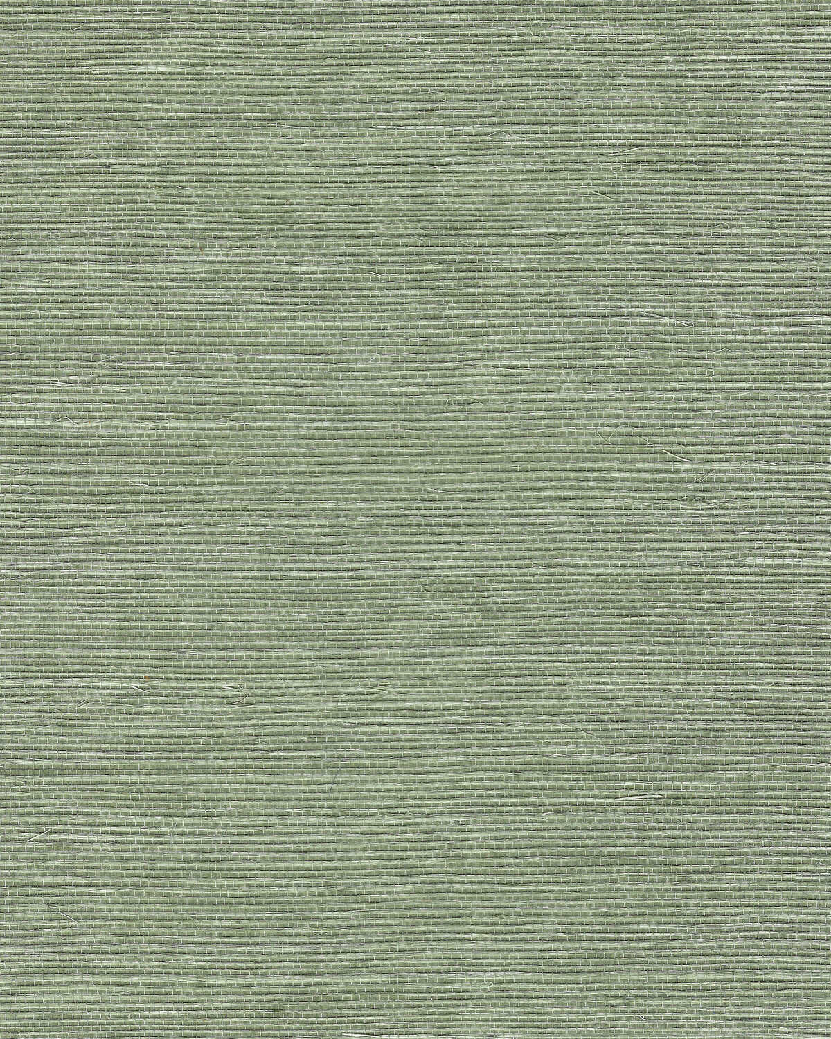 Chiyo Sisal - Sage - WINFIELD THYBONY Papel pintado