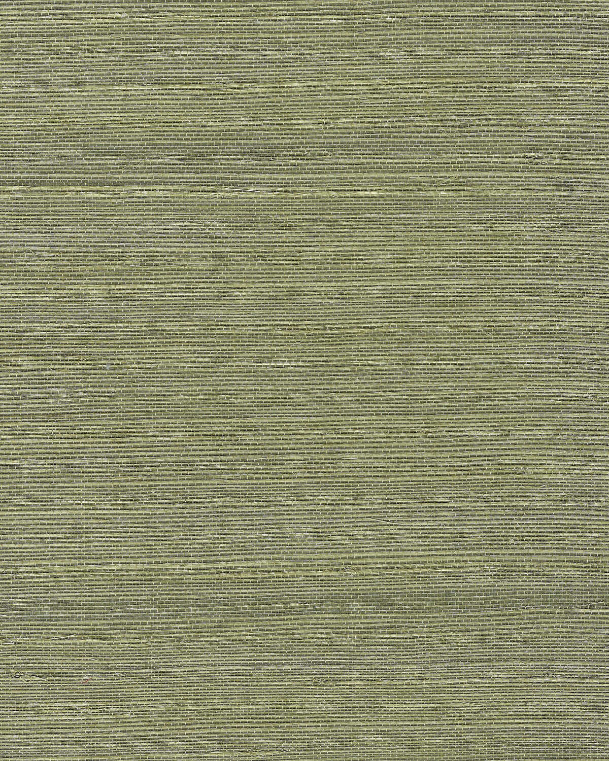 Chiyo Sisal - Moss - WINFIELD THYBONY Papel pintado