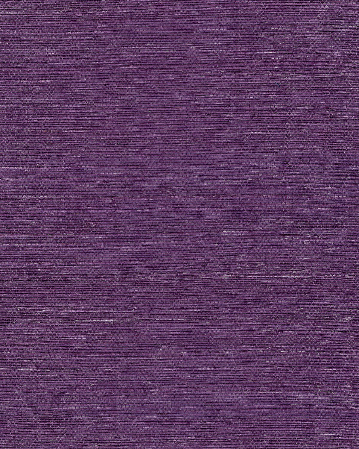 Chiyo Sisal - Purple - WINFIELD THYBONY Papel pintado