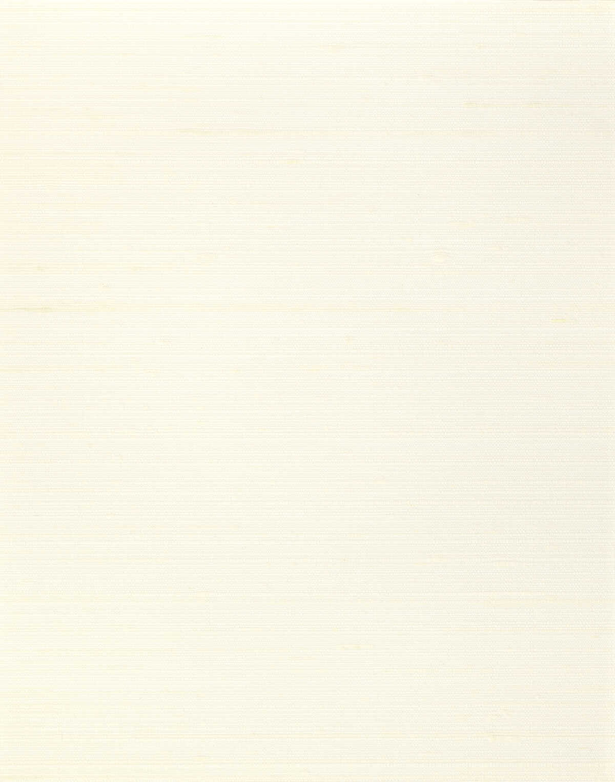 Misheo - Sugar - WINFIELD THYBONY Wallpaper