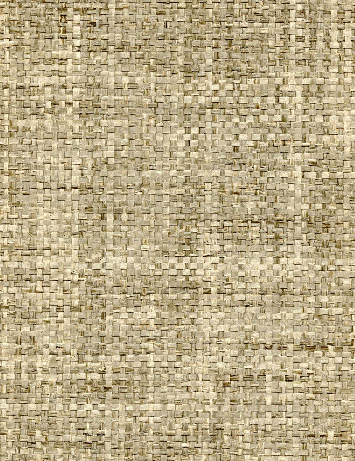Sonata Weave - Biscuit - WINFIELD THYBONY Wallpaper