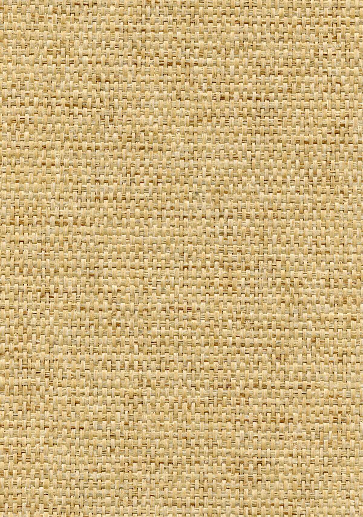 Rosette Weave - Blond - WINFIELD THYBONY Wallpaper