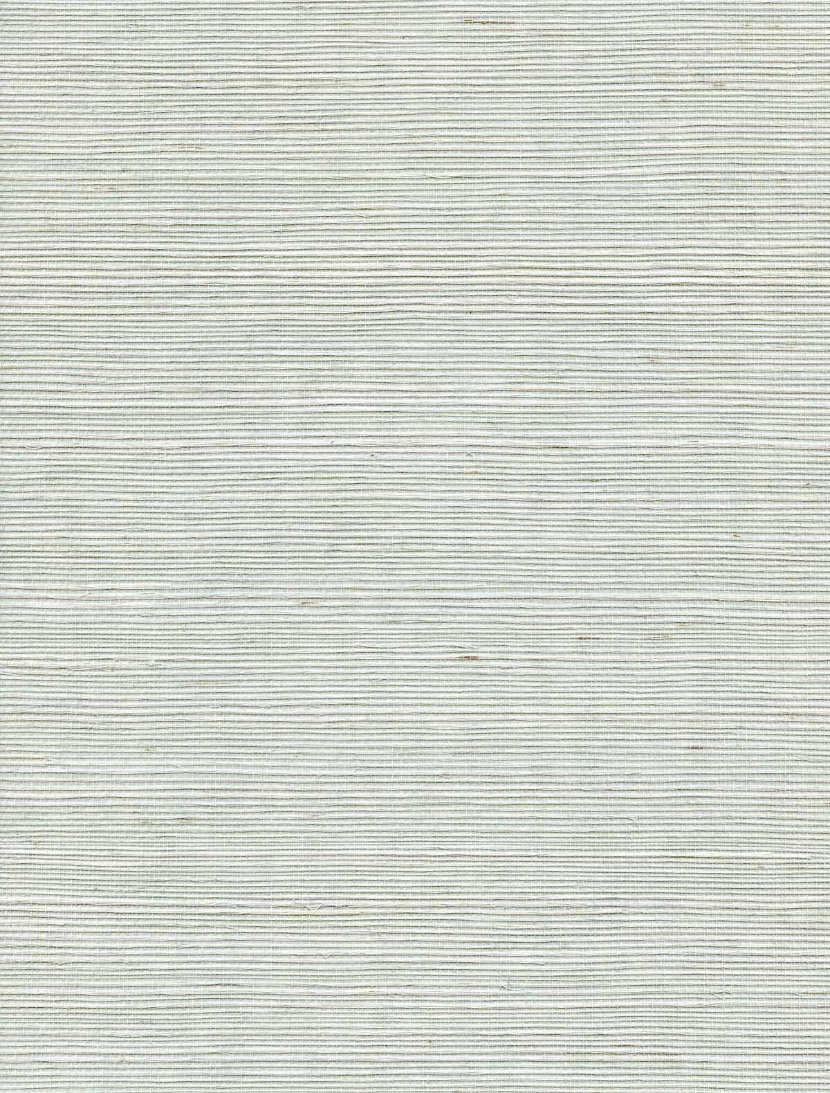 Solo Sisal - Barely Blue - WINFIELD THYBONY Wallpaper