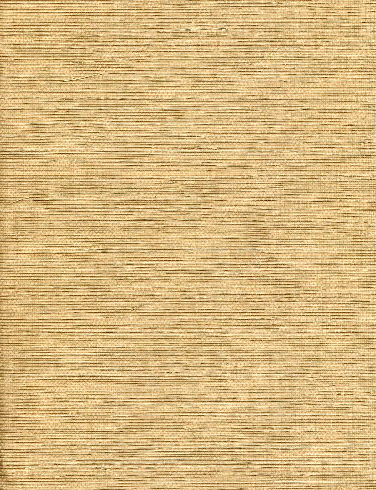 Solo Sisal - Haystack - WINFIELD THYBONY Wallpaper