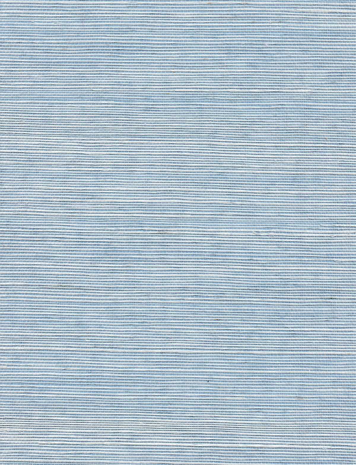 Solo Sisal - Sky Blue - WINFIELD THYBONY Wallpaper