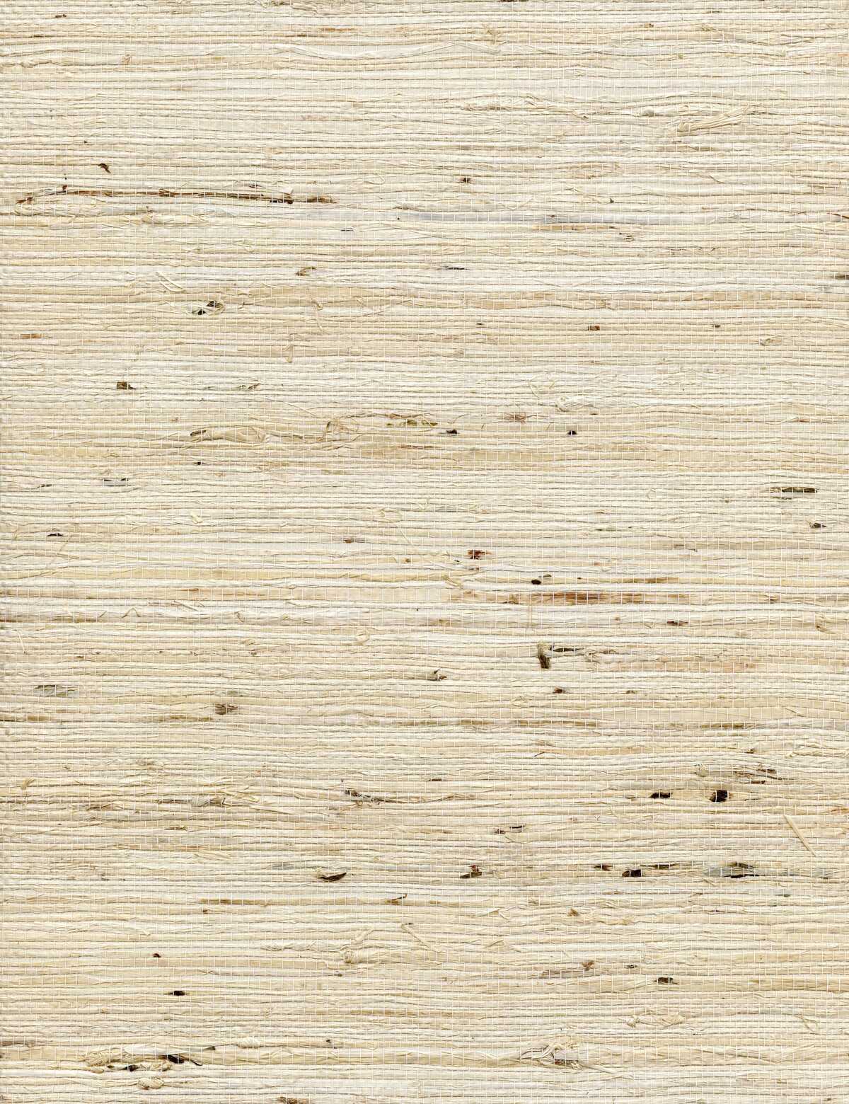 Concerto - Tusk - WINFIELD THYBONY Wallpaper
