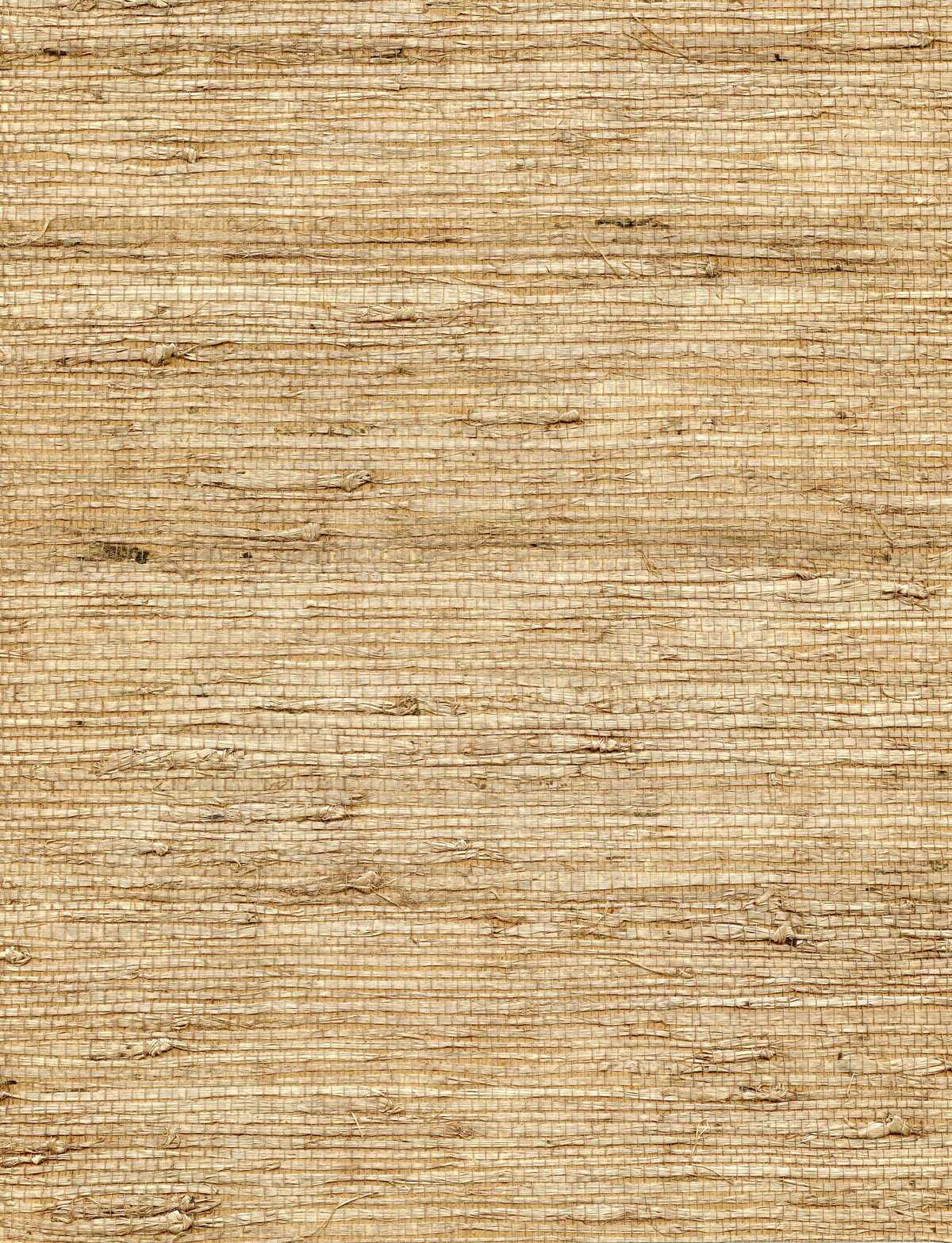 Concerto - Latte - WINFIELD THYBONY Wallpaper