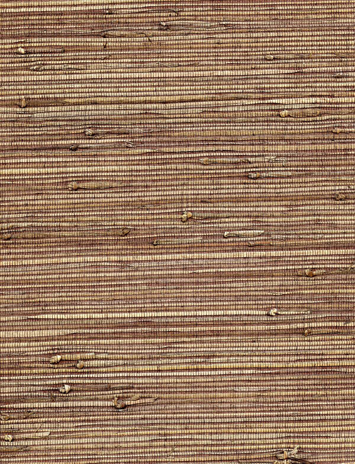 Concerto - Stonewashed - WINFIELD THYBONY Wallpaper