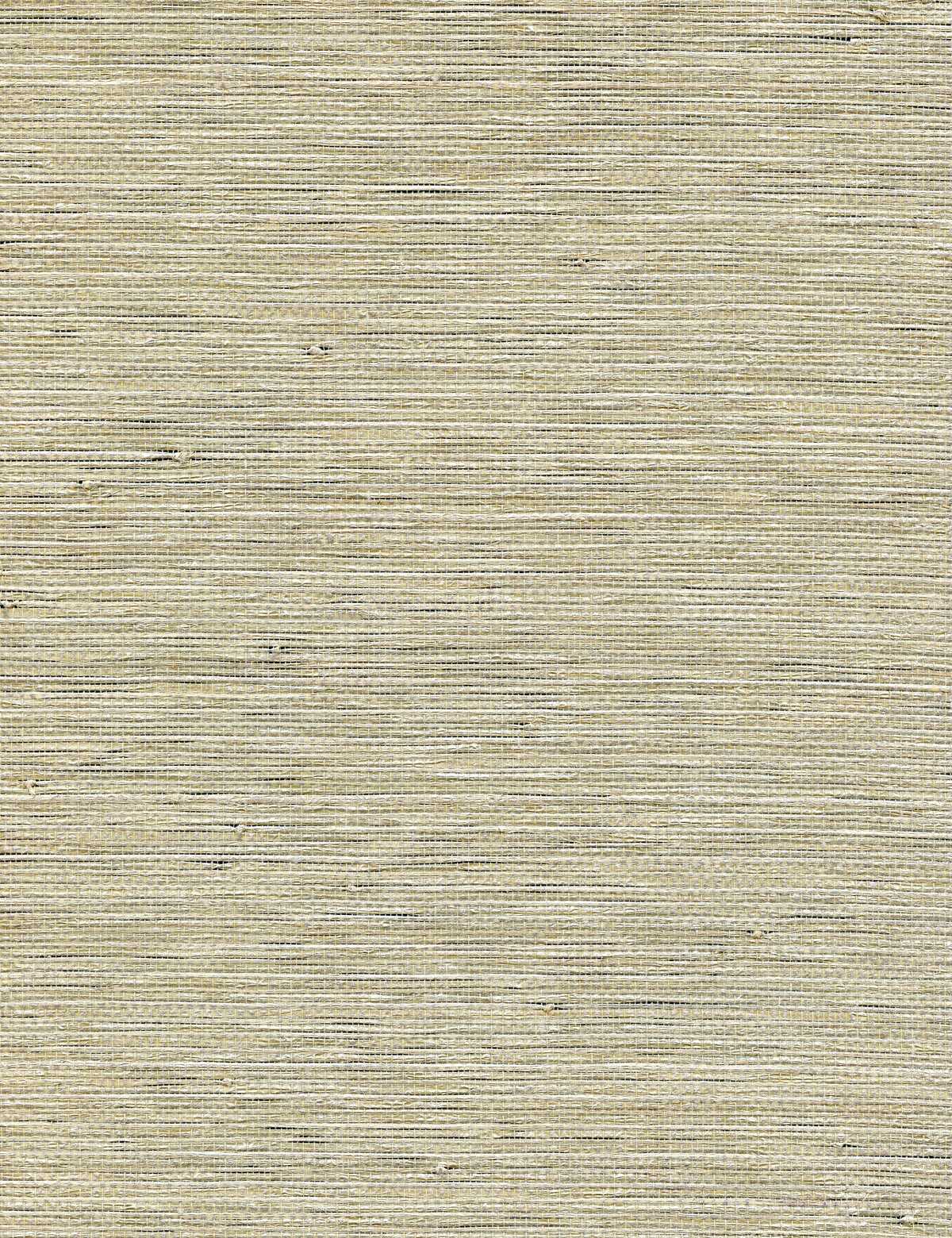 Allegria - Glimmer - WINFIELD THYBONY Wallpaper
