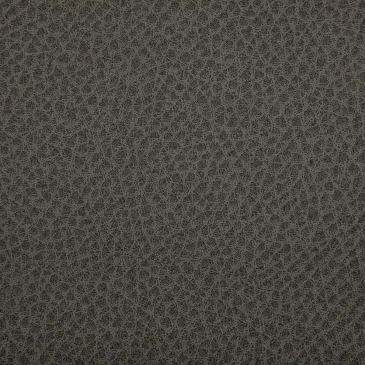 Woolf - Hawk - KRAVET CONTRACT Fabric