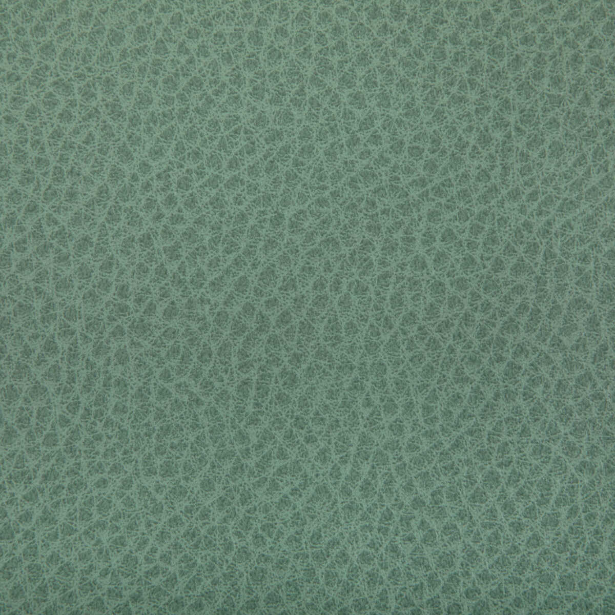 Woolf - Julep - KRAVET CONTRACT Fabric