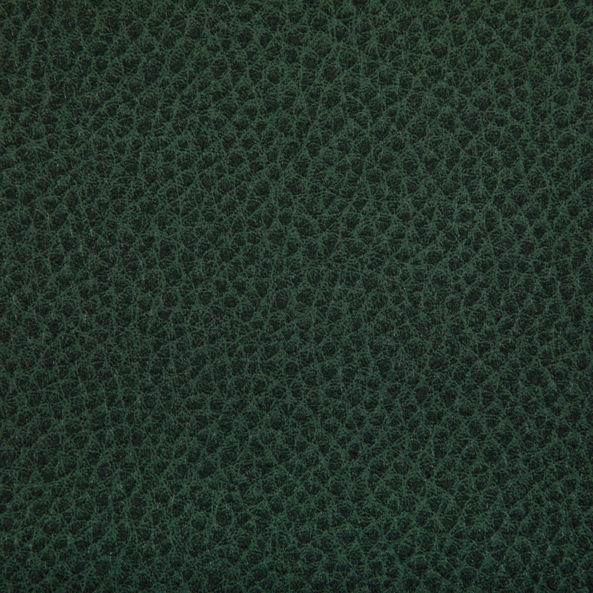 Woolf - Woodland - KRAVET CONTRACT Fabric