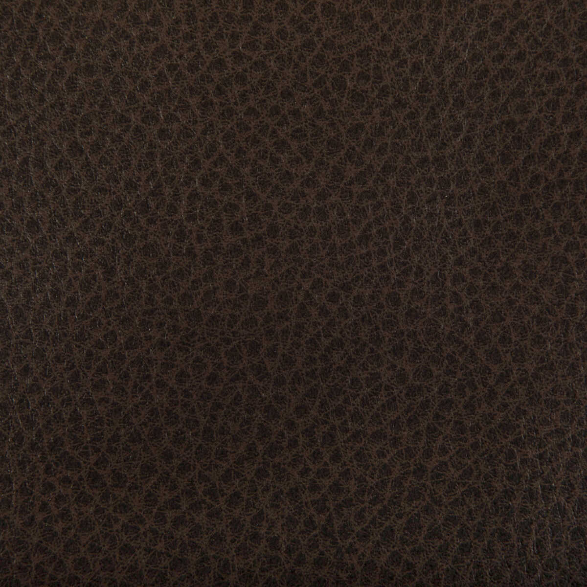 Woolf - Cocoa