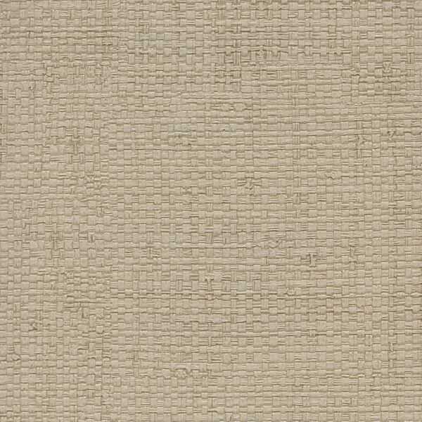 Mura - Driftwood - WINFIELD THYBONY Wallpaper