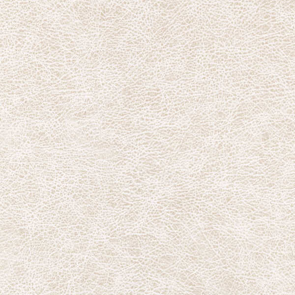 Enduring - Desert - WINFIELD THYBONY Wallpaper