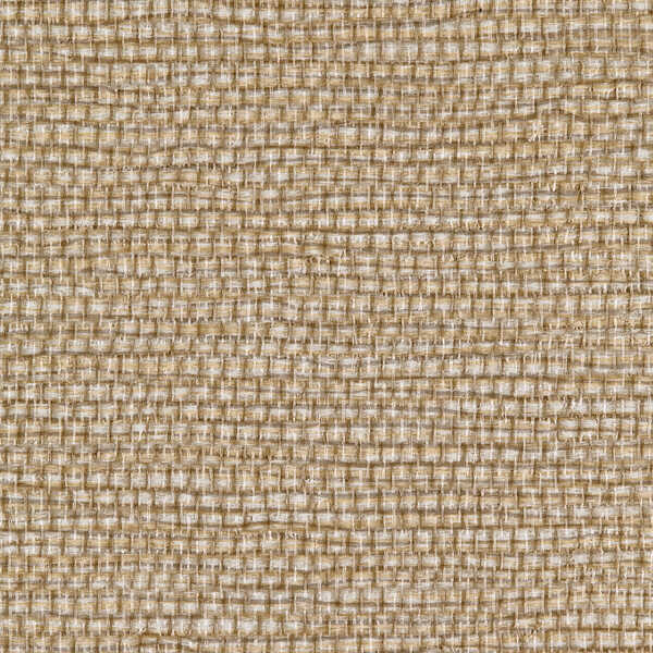 Panama - Goldilocks - WINFIELD THYBONY Wallpaper