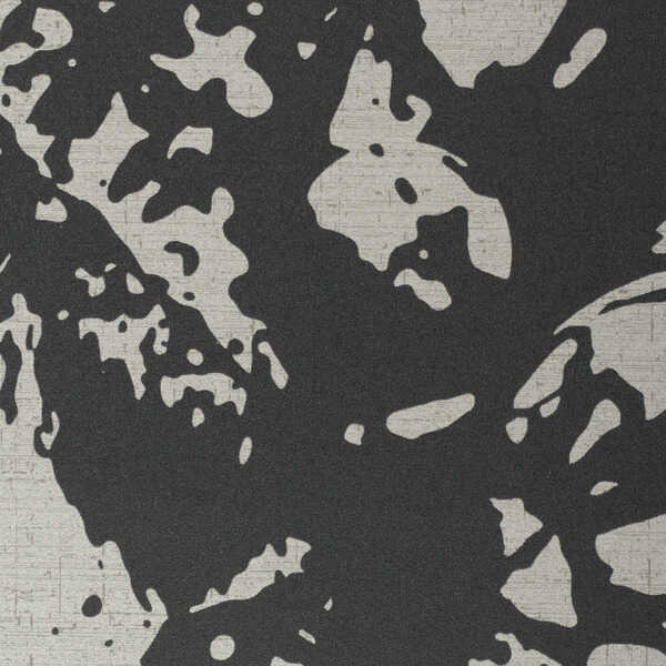 Sublime - Graphite - WINFIELD THYBONY Wallpaper