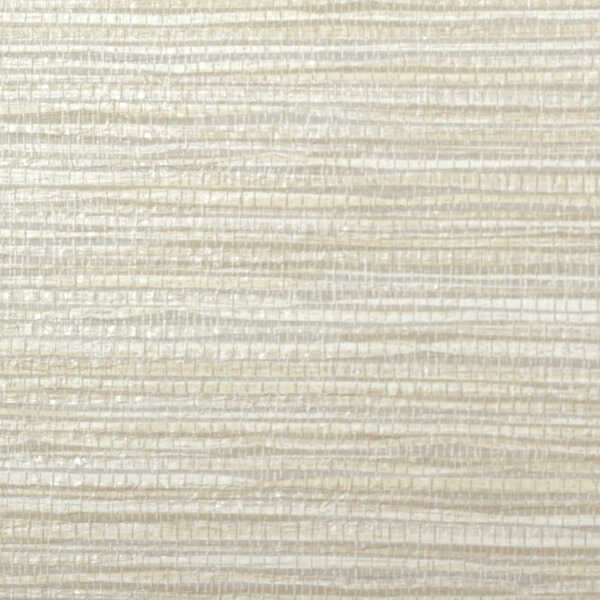Krauss - Parchment - WINFIELD THYBONY Wallpaper
