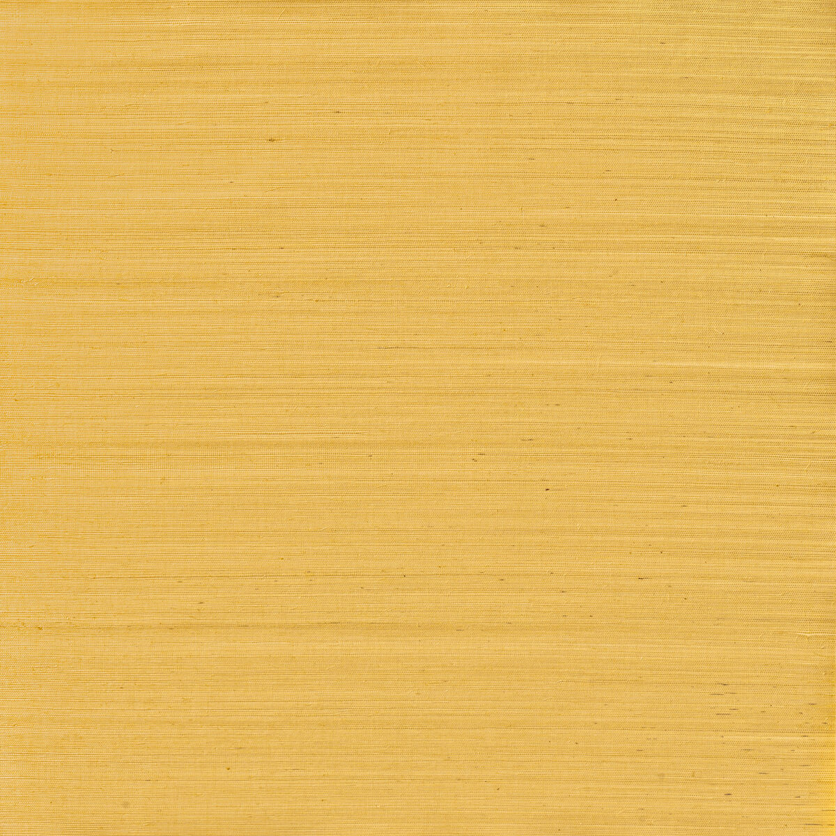 Serenity Sisal - Harvest - Winfield Thybony Wallpaper