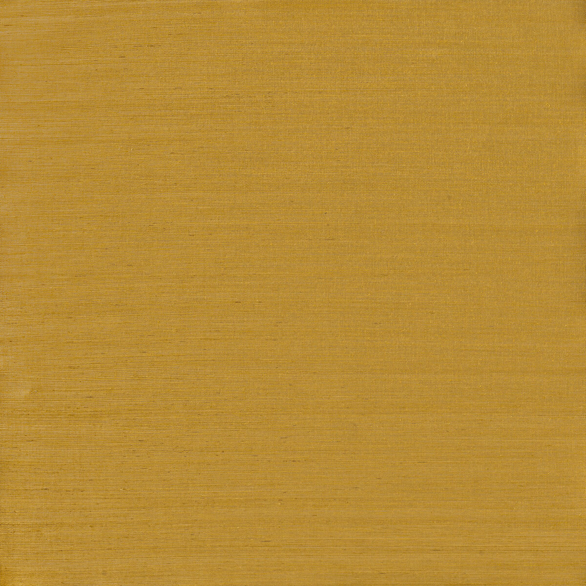 Opalite Sisal - Butterscotch - Winfield Thybony Wallpaper
