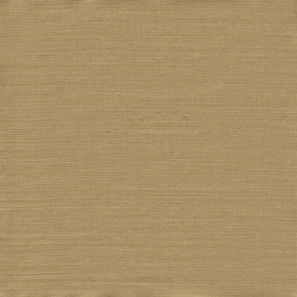 Serenity Sisal - Dew Green - Winfield Thybony Wallpaper