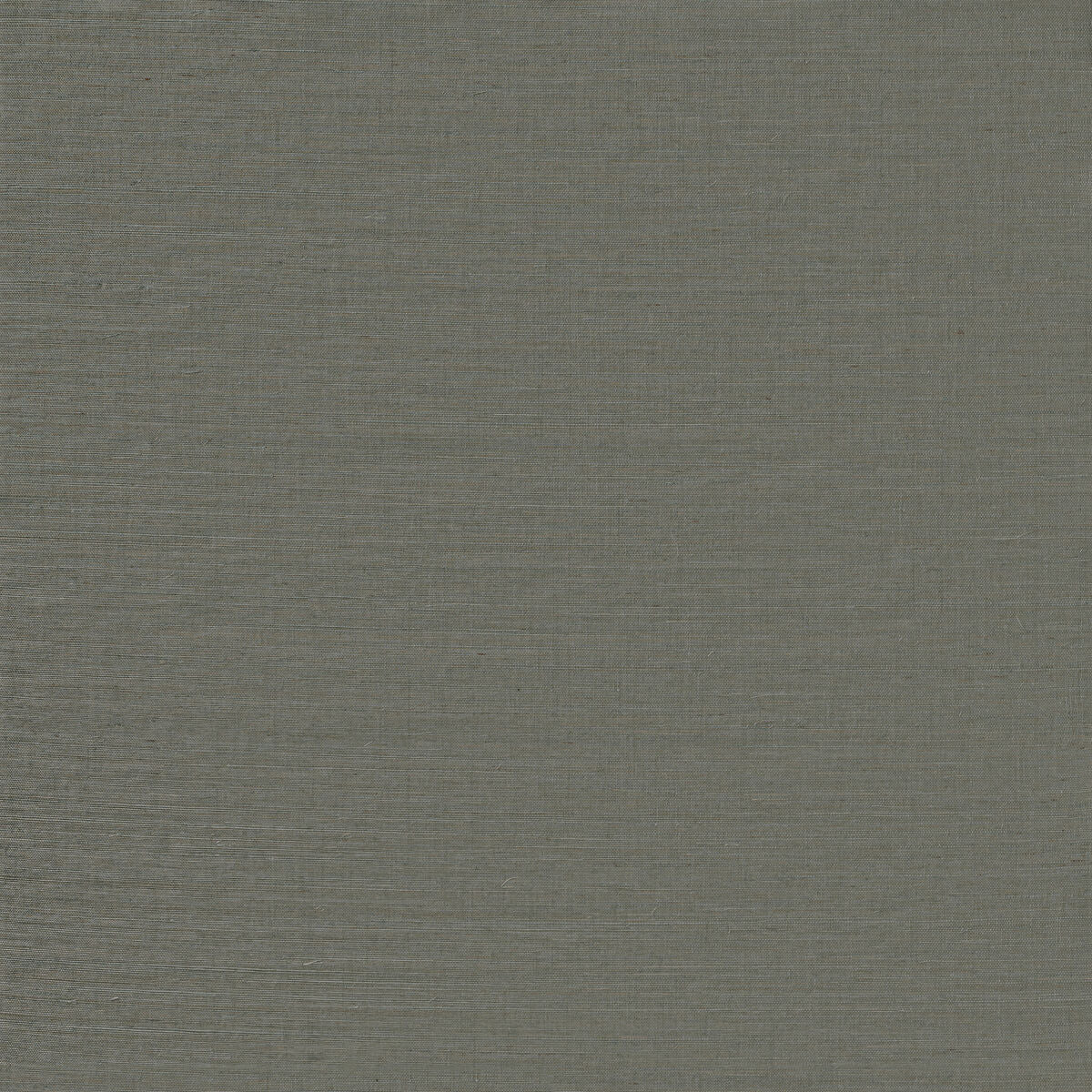 Serenity Sisal - Seagrass - Winfield Thybony Wallpaper