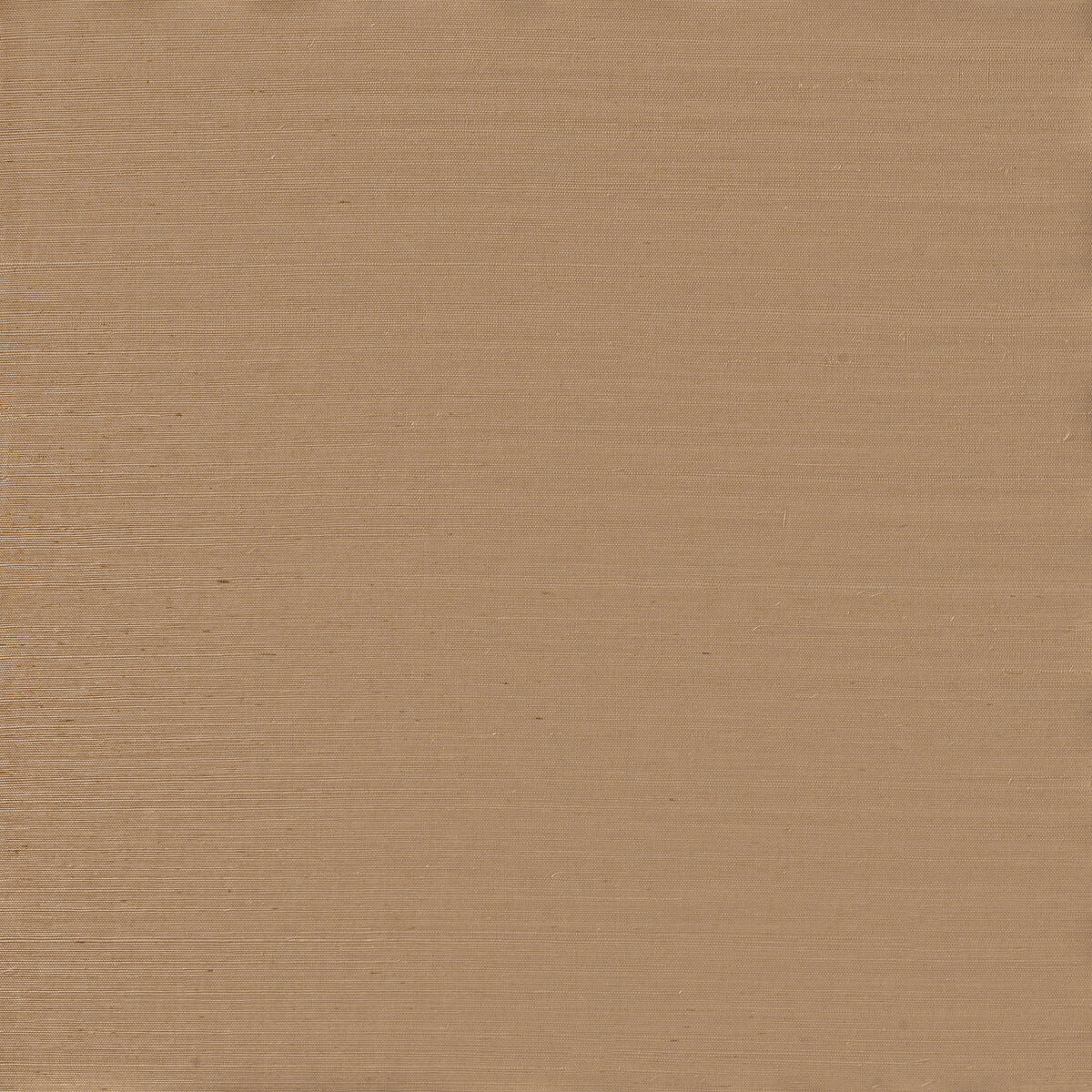 Serenity Sisal - Nectar - Winfield Thybony Wallpaper
