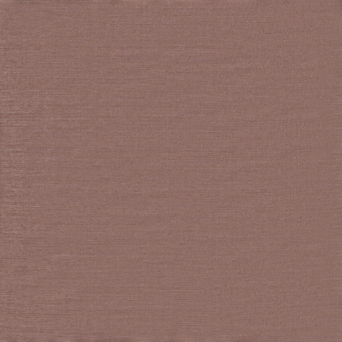 Serenity Sisal - Muave Mist - Winfield Thybony Wallpaper