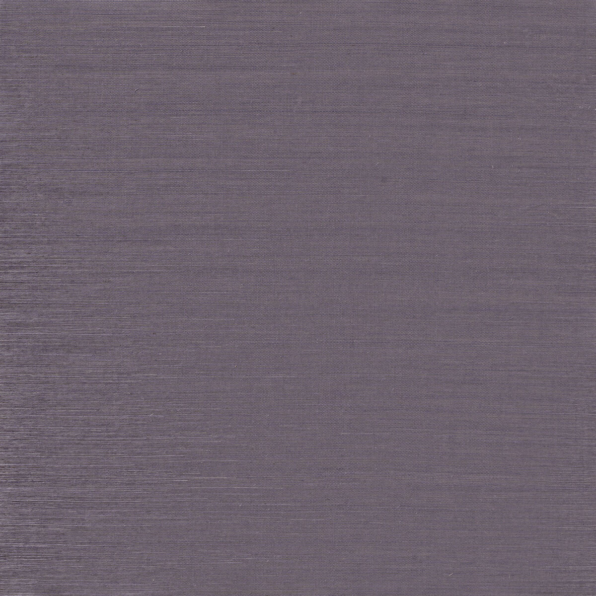Serenity Sisal - Iris - Winfield Thybony Wallpaper
