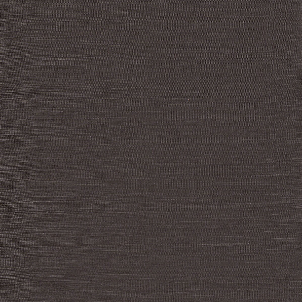 Sunlit Sisal - Steel