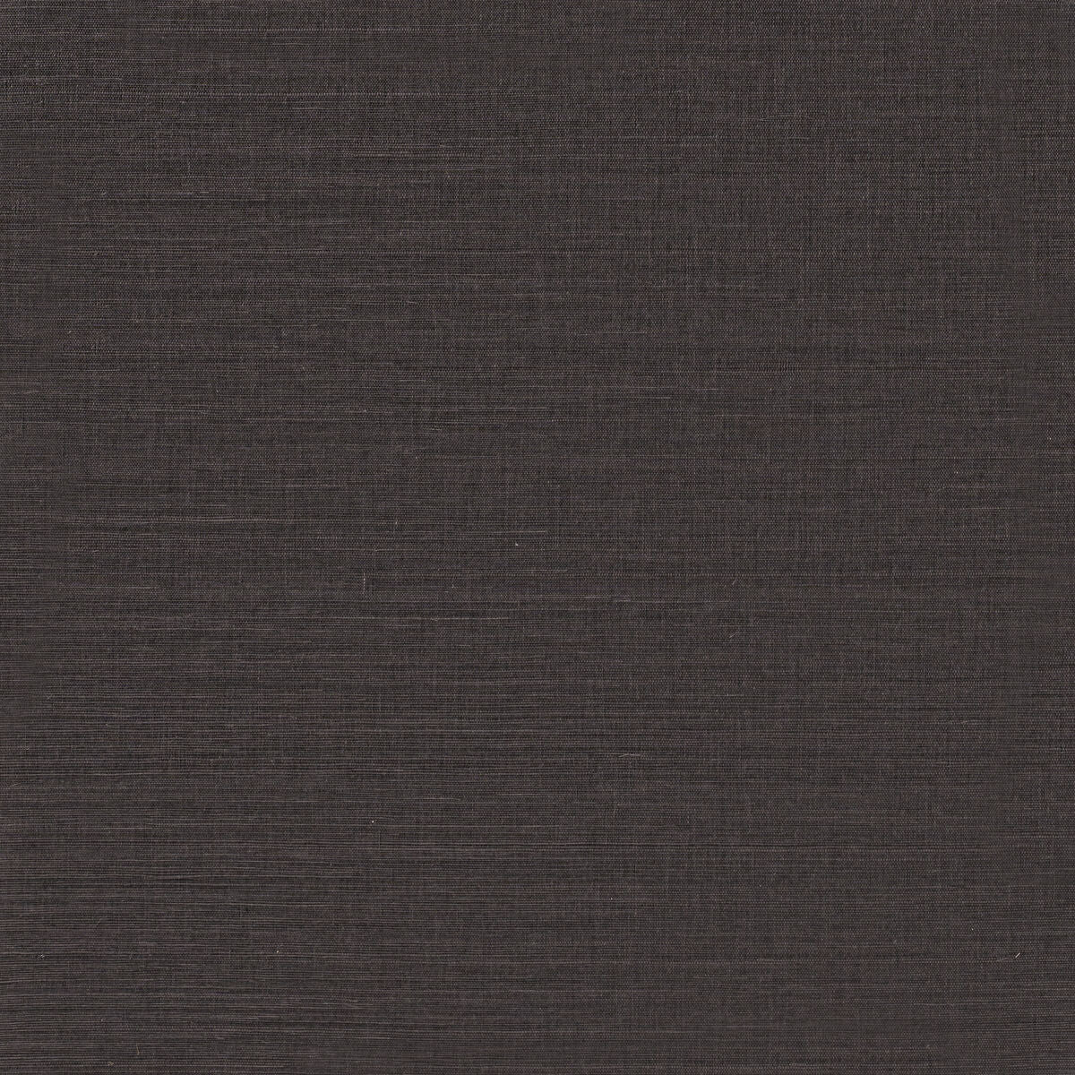 Sunlit Sisal - Slate - Winfield Thybony Wallpaper