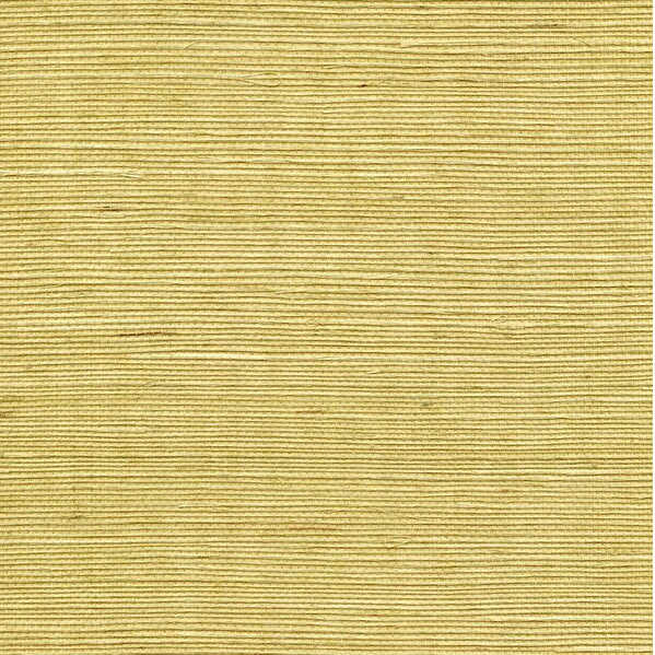 Sisal - Citrine - WINFIELD THYBONY Wallpaper