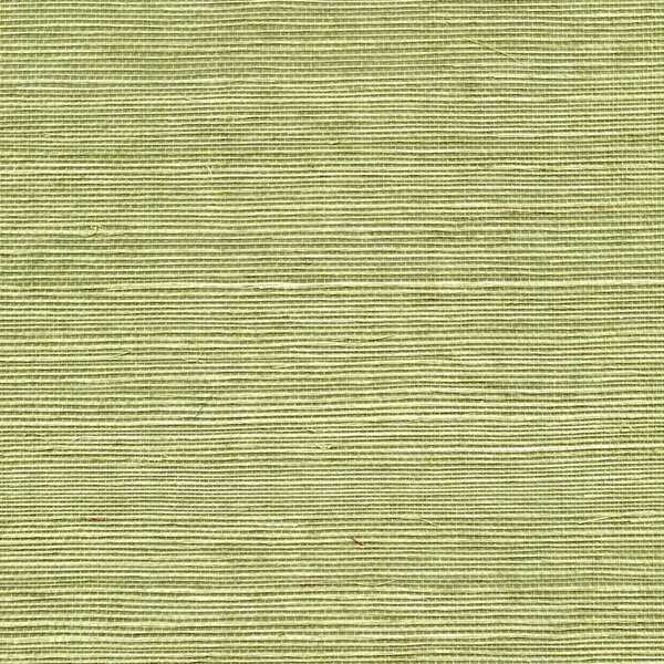 Sisal - Pea Pod - WINFIELD THYBONY Wallpaper
